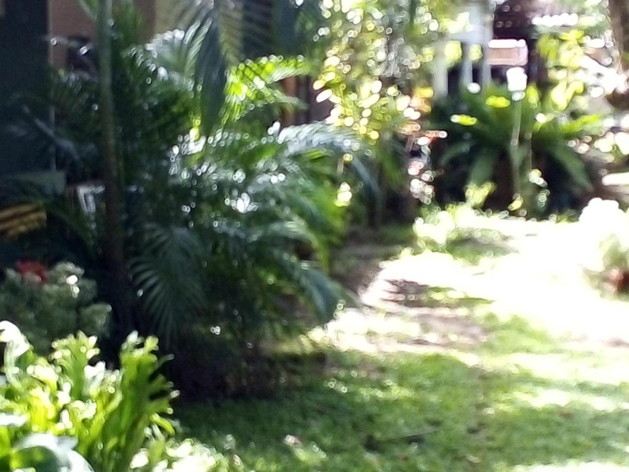 Bandula Home Stay Σιγκιρίγια Εξωτερικό φωτογραφία