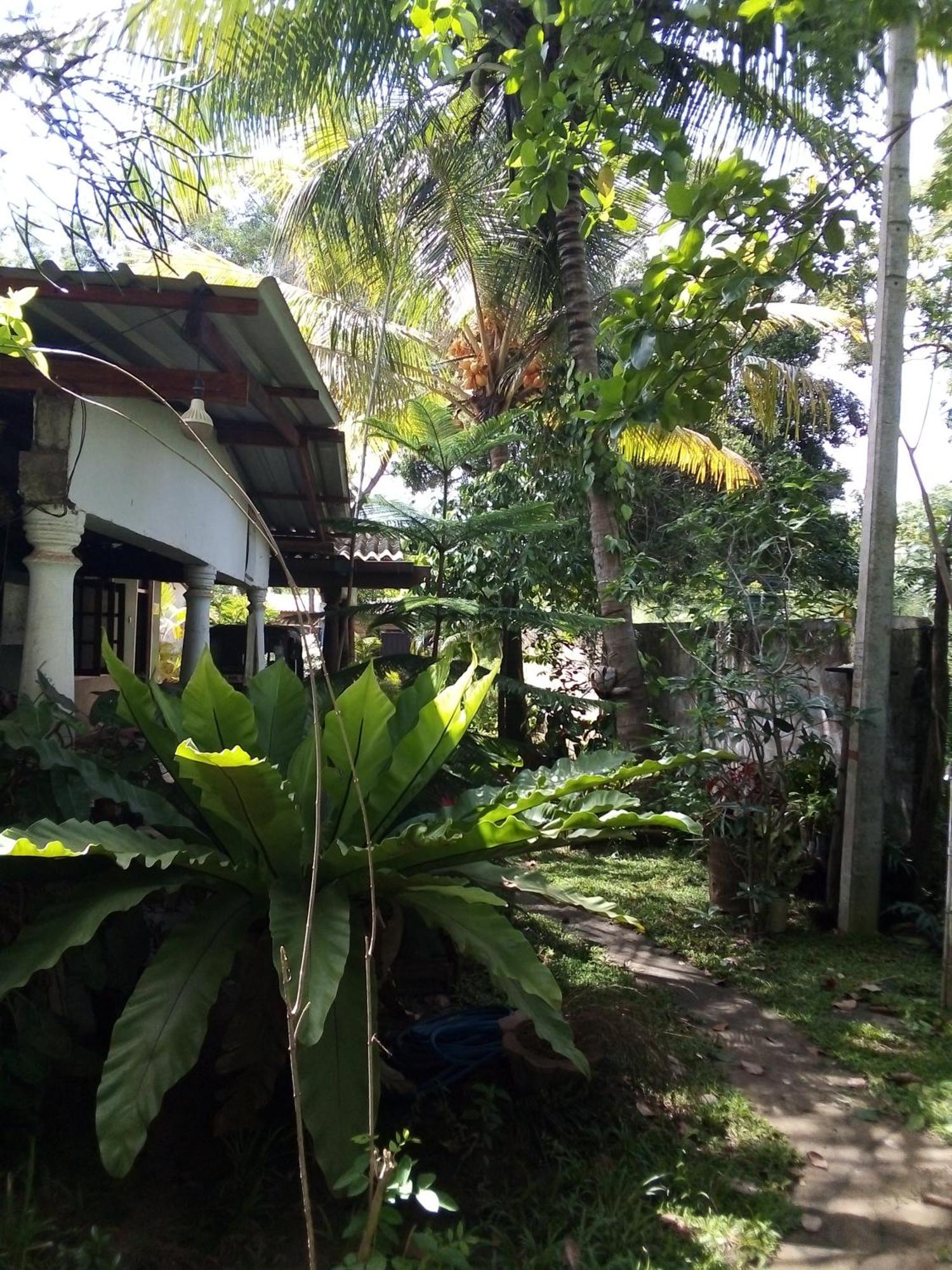 Bandula Home Stay Σιγκιρίγια Εξωτερικό φωτογραφία